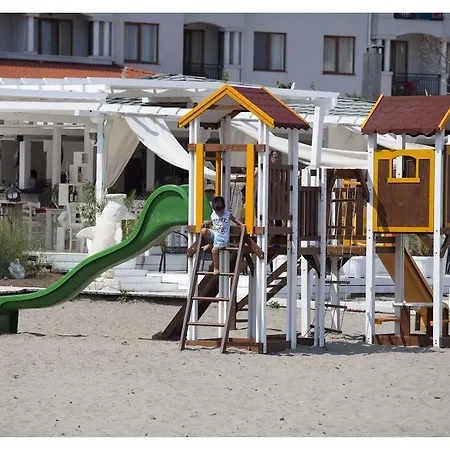 реджина маре